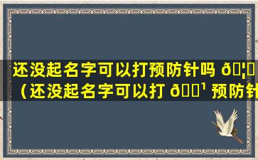 还没起名字可以打预防针吗 🦄 （还没起名字可以打 🌹 预防针吗宝宝）